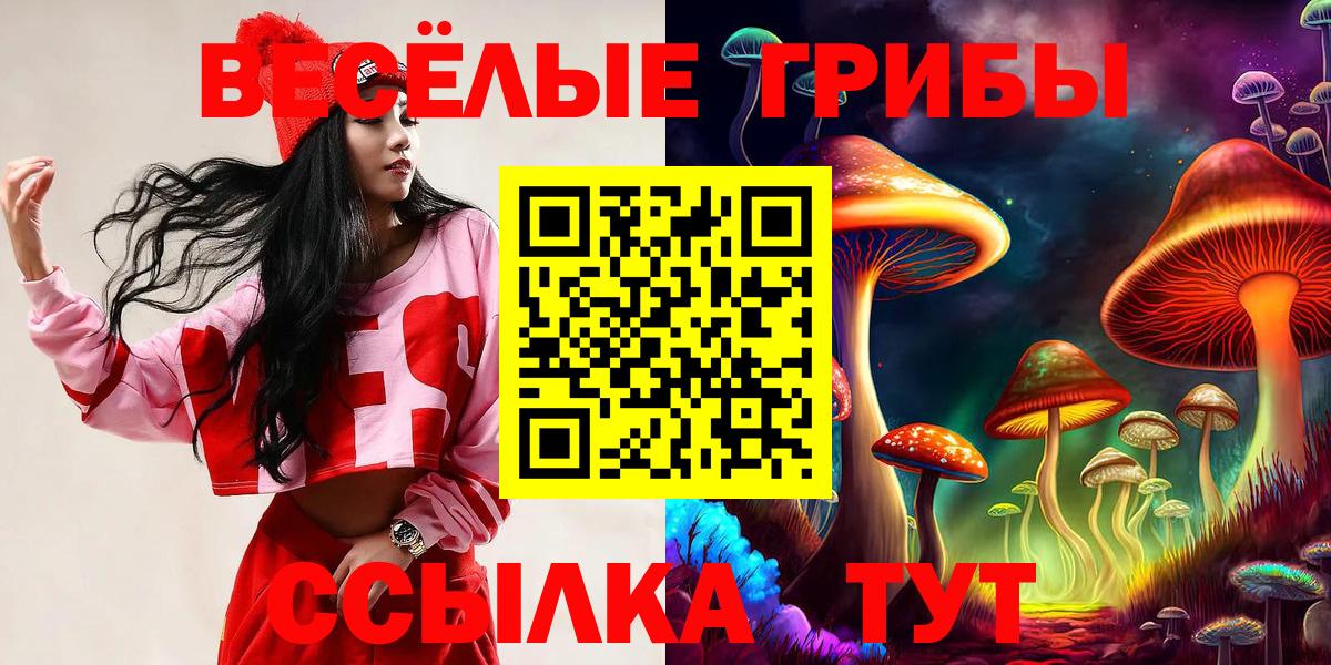 Галлюциногенные грибы Psilocybe Копейск