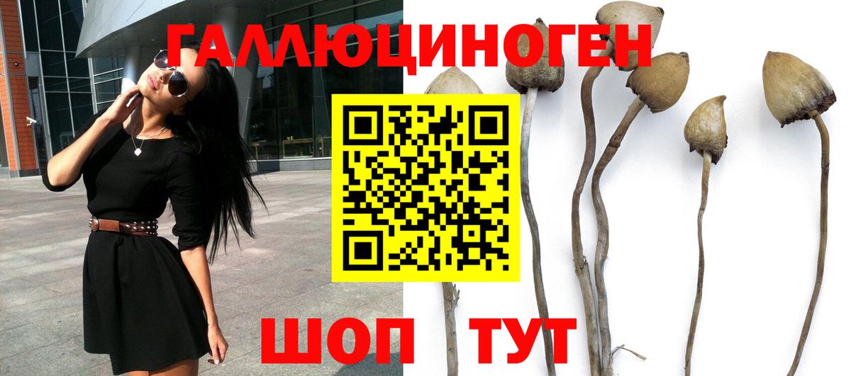 Галлюциногенные грибы ЛСД  Вход с VPN  Копейск 